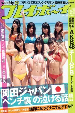 扫黑风暴演员表